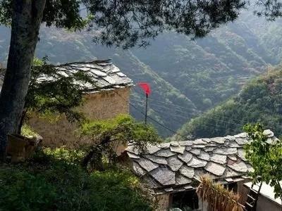 PP电子模拟器(试玩游戏)官方网站